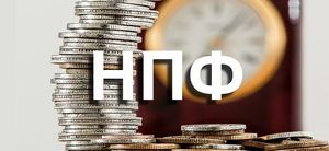 Преимущества и недостатки НПФ