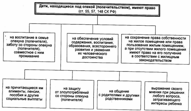 48 ФЗ об опеке и попечительстве в новой редакции: о чем молчит федеральный закон?